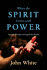 When the Spirit Comes With Power: Signs & Wonders Among God's People