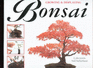 Growing and Displaying Bonsai: a Step-By-Step Guide