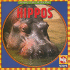 Hippos (Animals I See at the Zoo. )