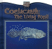 Coelacanth: the Living Fossil