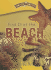 Find It at the Beach (Can You Find It? )