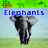 Elephants (Amazing Animals)