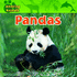 Pandas (Amazing Animals)