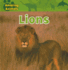 Lions (Amazing Animals)