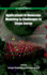 Applications of Molecular Modeling to Challenges in Clean Energy