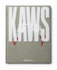 Kaws, 1993-2010