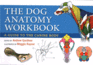 The Dog Anatomy Workbook a Guide to the Canine Body