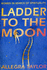 Ladder to the Moon: Women in Search of Spirituality