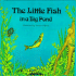 The Little Fish in a Big Pond