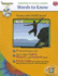 Interactive Vocabulary Lessons: Words to Know (Interactive Digital Lessons)