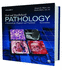 Oral and Maxillofacial Pathology a Rationale for Diagnosis and Treatment