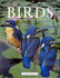 Encyclopedia of Birds (Encyclopedia of Animals)