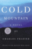 Cold Mountain: a Novel