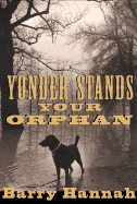 yonder stands your orphan