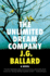 The Unlimited Dream Company: a Novel