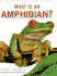 What is an Amphibian?