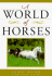 A World of Horses