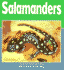 Salamanders