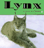 Lynx