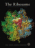 The Ribosome: Proceedings of 2001 Symposium: 66 (Cold Spring Harbor Symposia on Quantitative Biology Series)