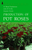 Production of Pot Roses (Growers Handbook Series)
