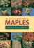 An Illustrated Guide to Maples (Illustrated Guides)