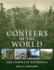 Conifers of the World: the Complete Reference