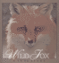 Wild Fox