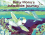 Baby Honu's Incredible Journey