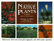 landscaping with native plants of texas and the southwest