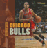 Nba Champions: Chicago Bulls