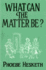 What Can the Matter Be?