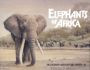 Elephants of Africa