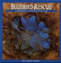 Bluebird Rescue: a Harrowsmith Country Life Nature Guide