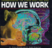 How We Work