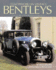 Coachwork on Vintage Bentleys: 3 Litre, 4 1/2 Litre, 6 1/2 Litre, Speed Six & 8 Litre 1921-31