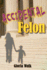 Accidental Felon (Volume 1)