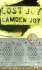 Lost Joy