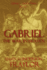 Gabriel: the War in Heaven (Gabriel-God's Hero)