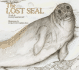 Lost Seal