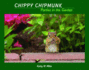 Chippy Chipmunk Parties in the Garden