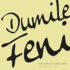 Dumile Feni: the Story of a Great Artist, Volume 1