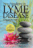 New Paradigms in Lyme Disease Treatment: 10 Top Doctors Reveal Healing Strategies That Work