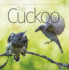 The Cuckoo: the Uninvited Guest: 6 (Wild Nature Press)