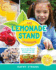 The Lemonade Stand Cookbook: Step-By-Step Recipes and Crafts for Kids to Make...and Sell!