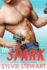 The Spark: a Carolina Connections Novel