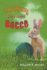 The Bunny Who Loved Bocce