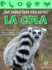 La Cola (Tail)