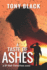 A Taste of Ashes (D. I Bob Valentine)