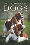picture book of dogs a gift book for alzheimers patients and seniors with d